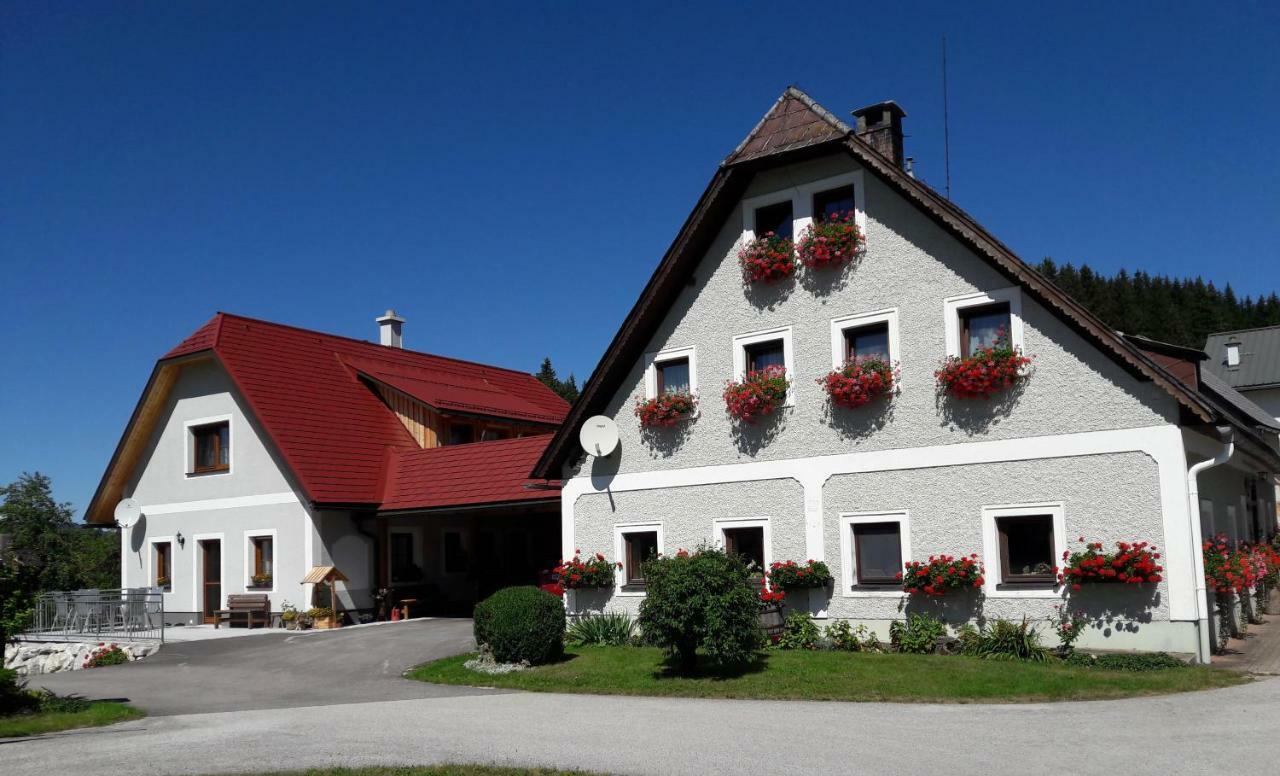 Biobauernhof Obereck Apartment Goestling an der Ybbs Exterior photo